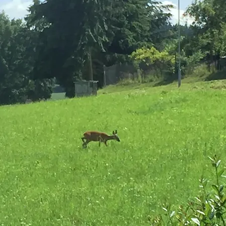 مزرعة للإقامة Dolpo 5 *