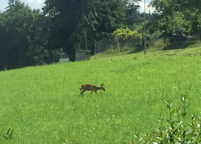 مزرعة للإقامة Dolpo 5 *